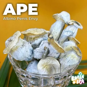 APE Mushroom Blend gummies — Albino Penis Envy botanical wellness gummies by The Brain Spa