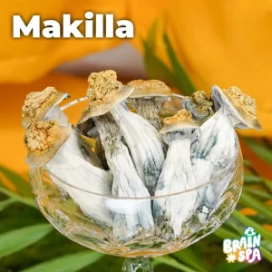 Makilla Mushroom Blend — beginner-friendly botanical mushroom gummies by The Brain Spa