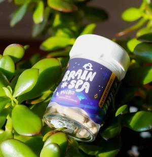 Psilo+ Microdose Capsules 50ct — 5-week functional mushroom microdosing supply by The Brain Spa